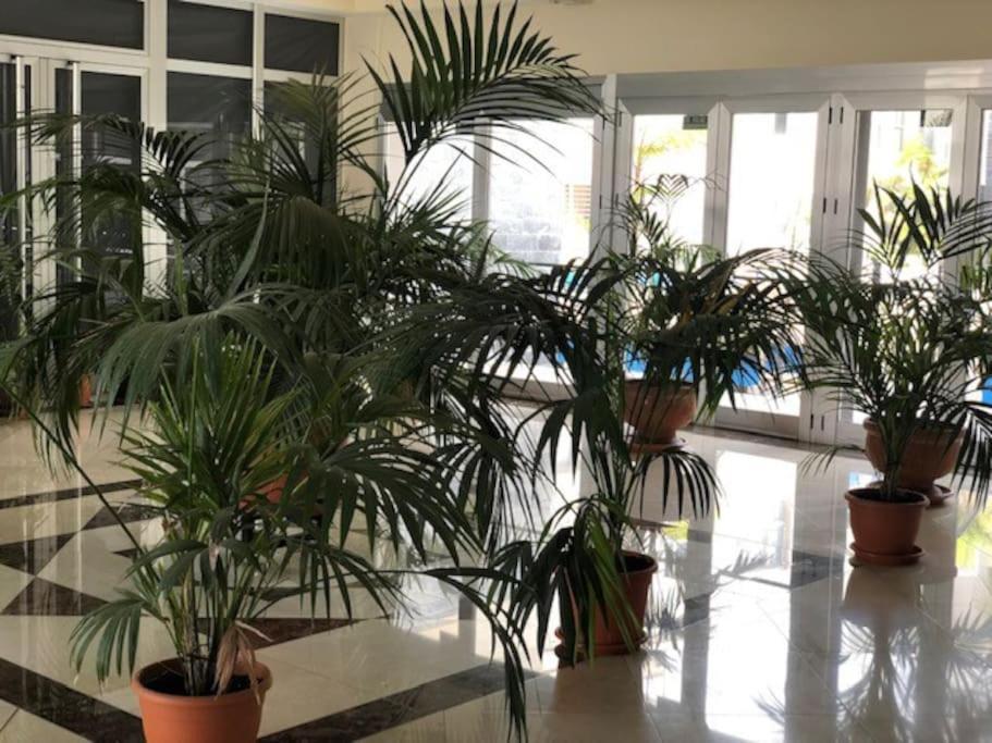 Playa Del Norte Vivienda Vacacional Gáldar Exterior foto